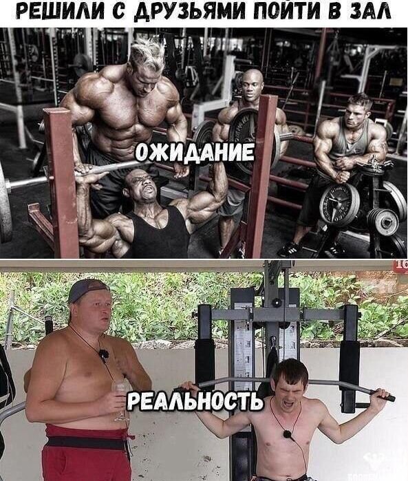 xyf77ndq (1).jpg